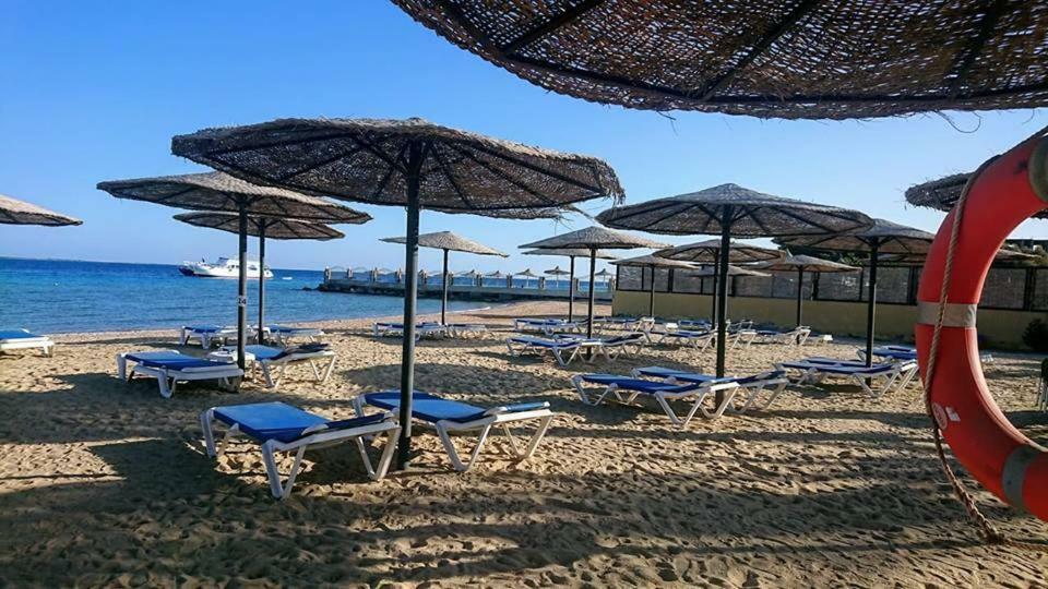 Exoticky Apartman Hurghada Esterno foto